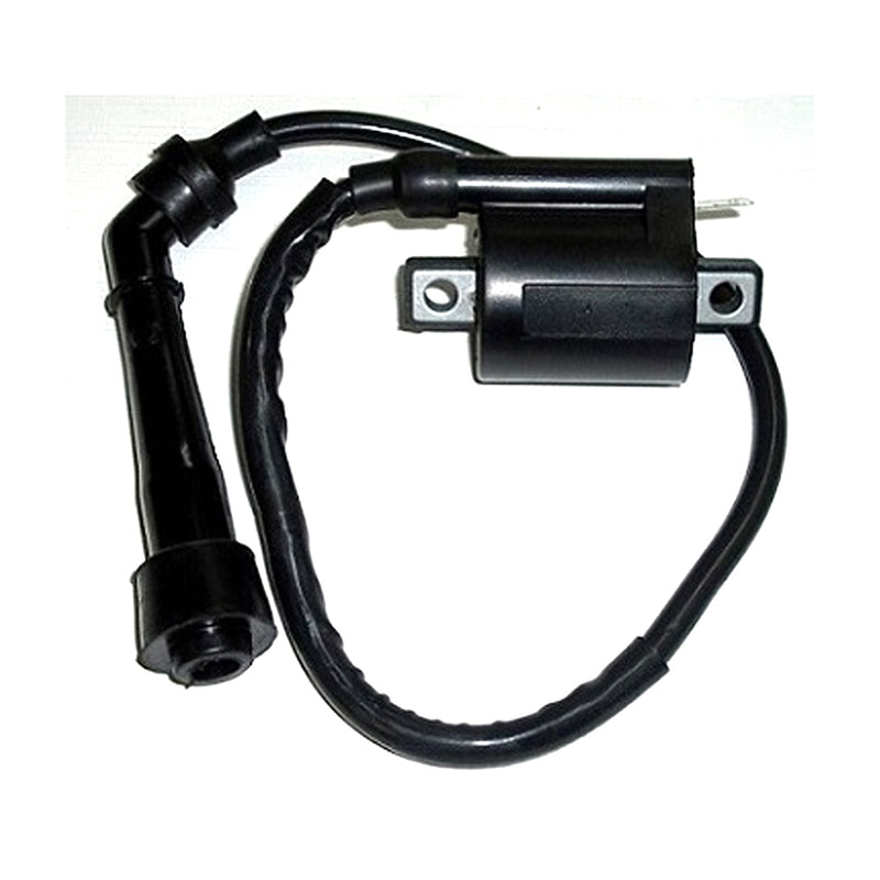 Load image into Gallery viewer, IGNITION COIL
