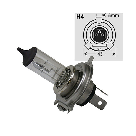 H4126055: H4 12V 60/55W Halogen Lamp / Halogen Lightbulb