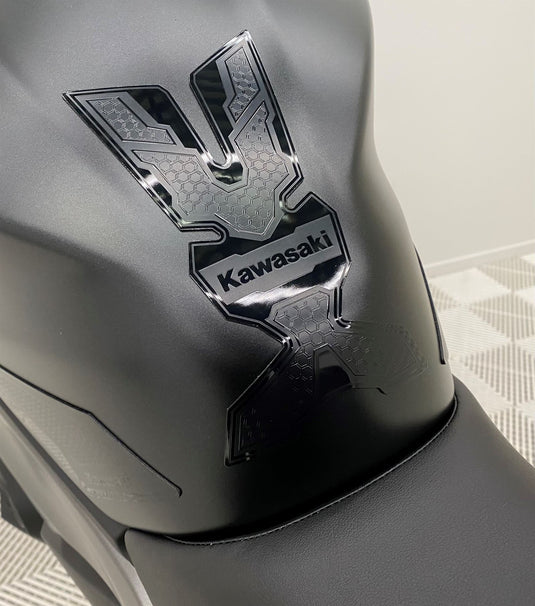 2025 Kawasaki Z 500 SE LAMS
