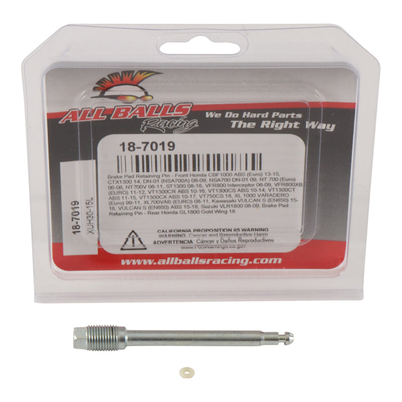 Load image into Gallery viewer, All Balls Racing Brake Pin Kit (18-7019)

