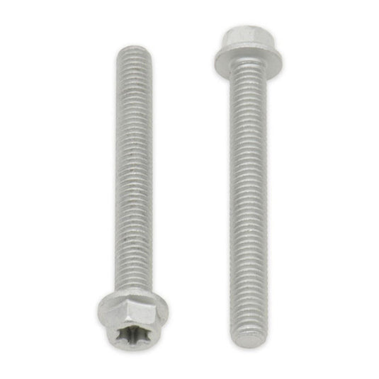 Bolt Euro Torx 6x20mm Flange Bolt (Packet of 10) Refill
