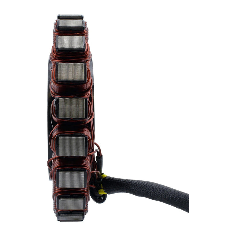 Load image into Gallery viewer, Stator BMW R1200 Models '12-'18 (RMS010-105024)
