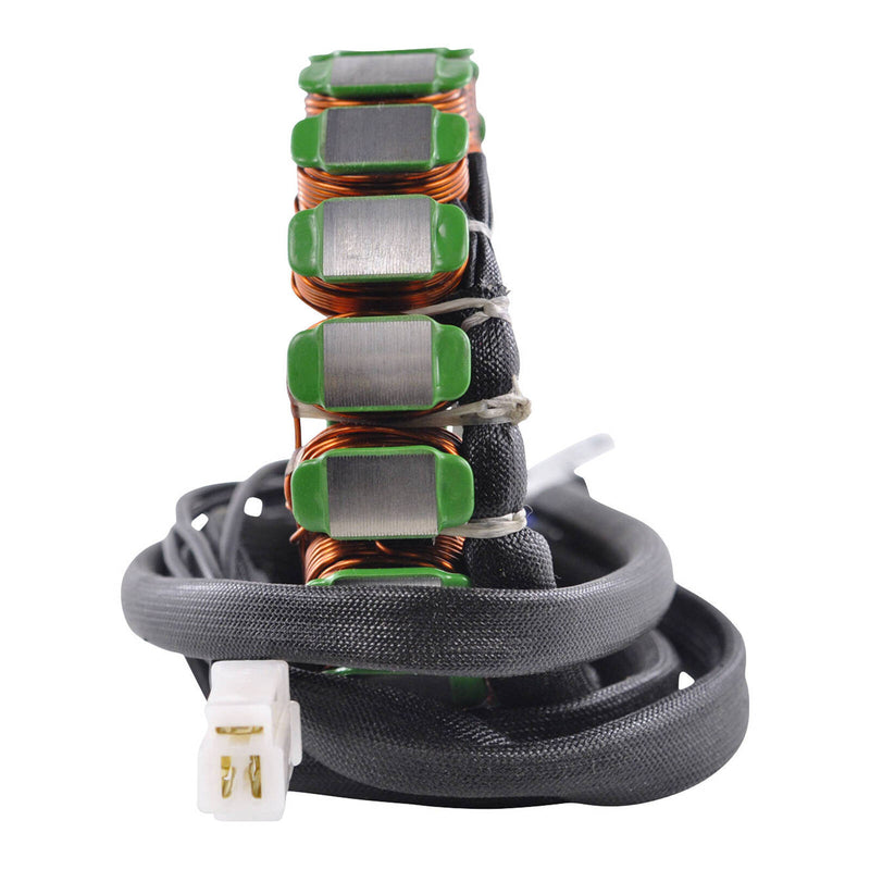 Load image into Gallery viewer, High Output 250W Stator Suzuki DR650SE '96-'23 (RM01047)
