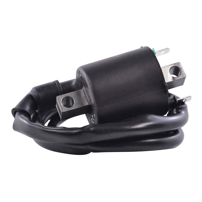 Load image into Gallery viewer, External Ignition Coil - Assorted Honda  / Kawasaki '08-'20
