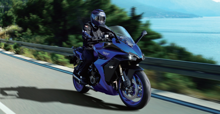 Load image into Gallery viewer, 2025 Suzuki GSX-S 1000 TRQ
