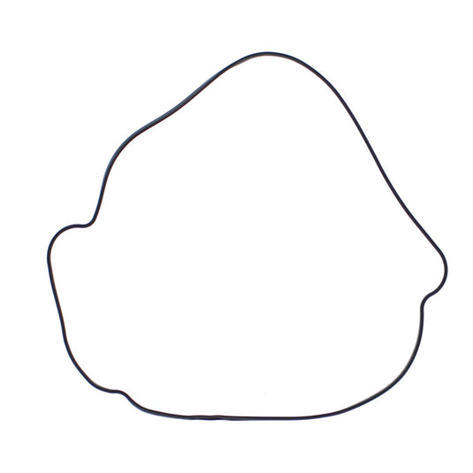 Outer Clutch Gasket Kit 817987