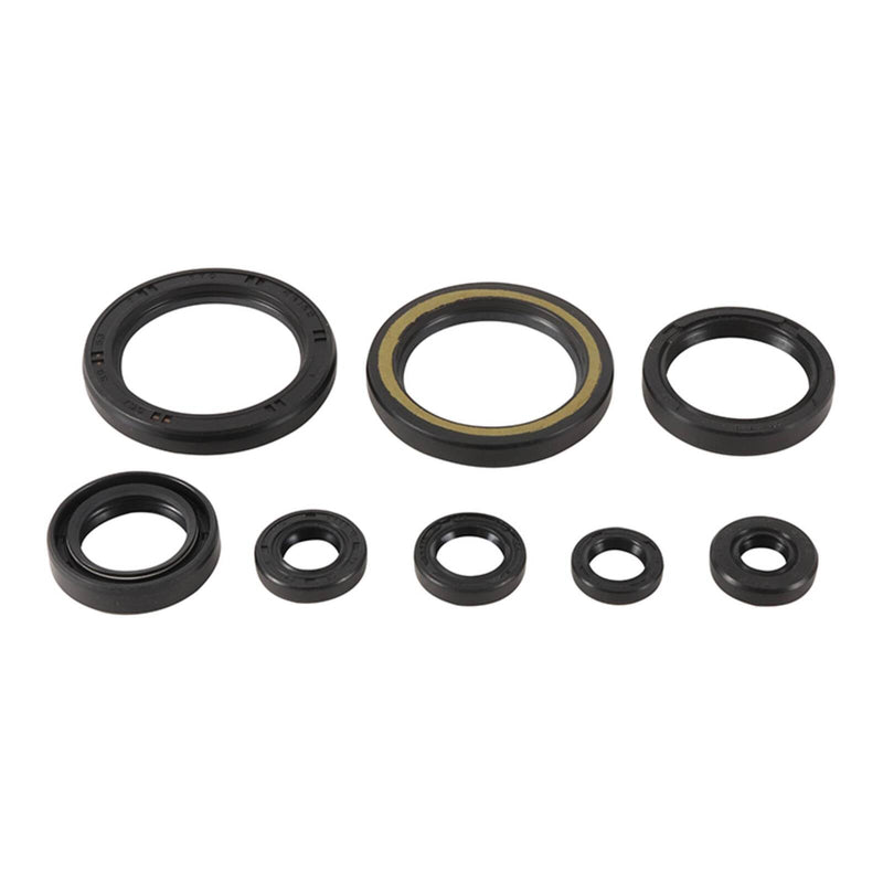 Load image into Gallery viewer, Oil Seal Kit 822378

