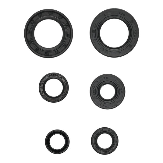 Oil Seal Kit 822391
