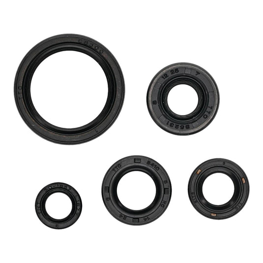 OIL SEAL KIT 822994