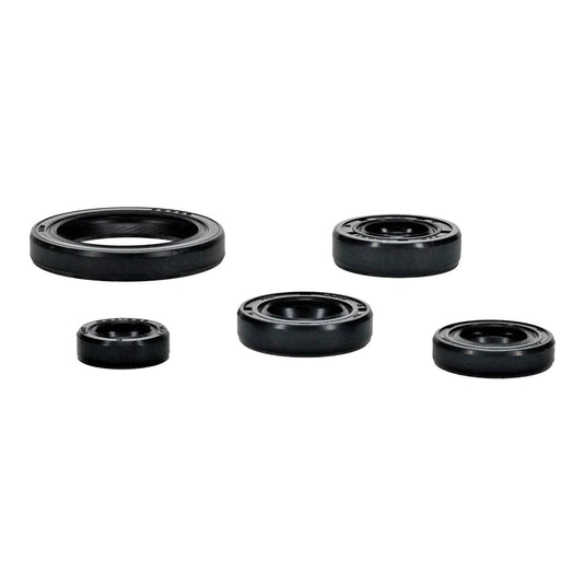 OIL SEAL KIT 822994
