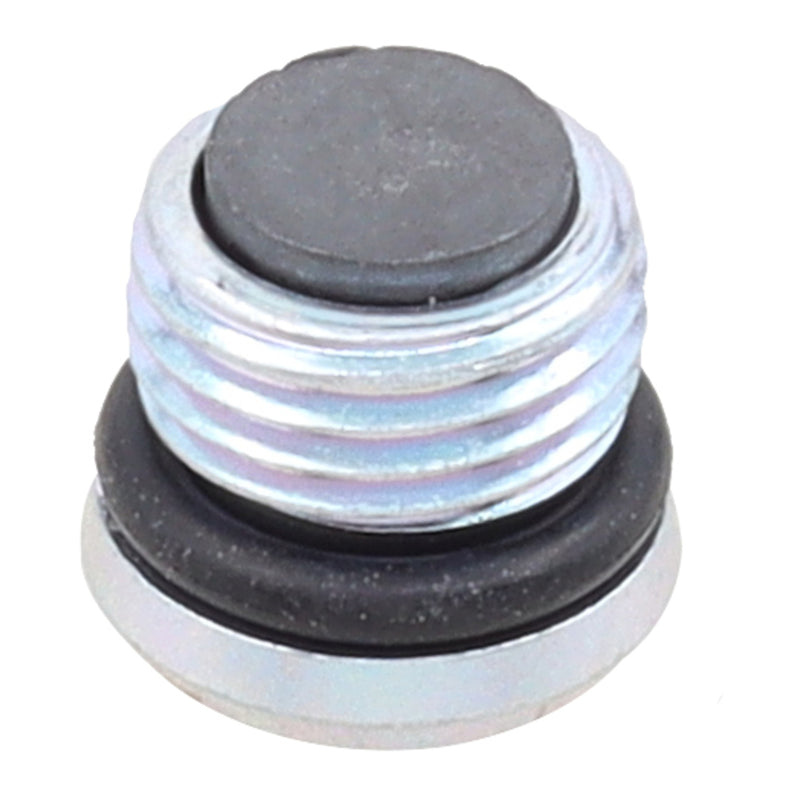 Load image into Gallery viewer, Whites Magnetic Drain Plug M10 x 6.9 - P1.0
