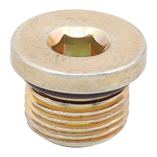 Whites Magnetic Drain Plug M18 x 12.4 - P1.5