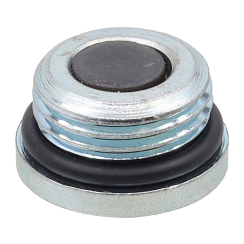 Load image into Gallery viewer, Whites Magnetic Drain Plug 3/4UNC x 5/16
