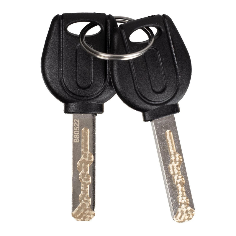 Load image into Gallery viewer, WMP Disc Lock Alarm Type 6mm Pin With Reminder
