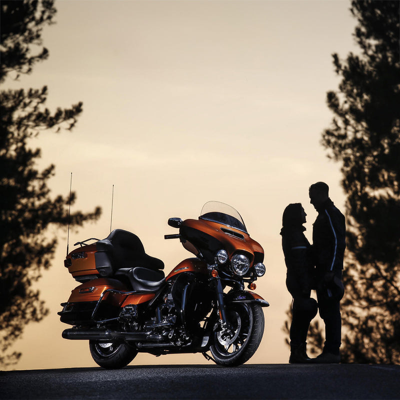 Load image into Gallery viewer, SCORCHER 31 - lifestyle
