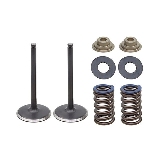 INLET VALVE KIT PSYCHIC MX INCLUDES 2 VALVES, 2 SPRINGS, RETAINERS & SEATS
