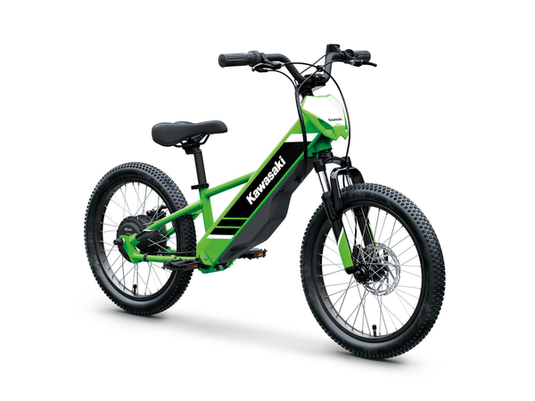 2025 Kawasaki Elektrode 20