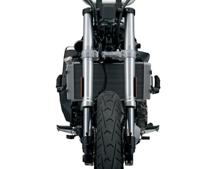 Load image into Gallery viewer, 2024 Suzuki V-Strom 800 RQ

