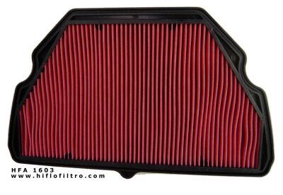 Load image into Gallery viewer, HIFLO HFA1603 Air Filter
