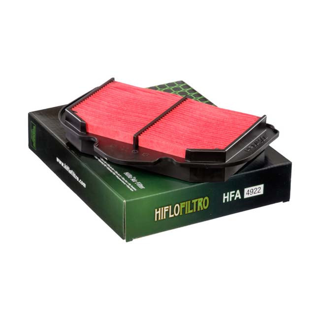 Load image into Gallery viewer, HIFLO HFA4922 Air Filter

